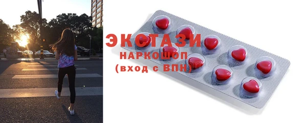 индика Абинск