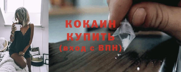 винт Абаза