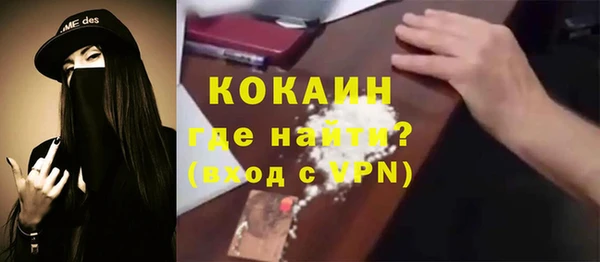 индика Абинск