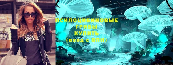 винт Абаза