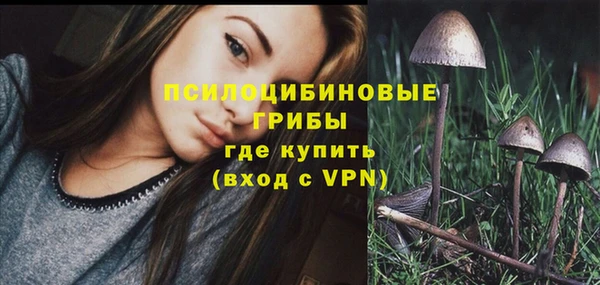 индика Абинск
