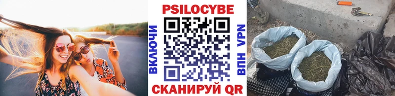 Псилоцибиновые грибы Magic Shrooms  купить наркотик  Костерёво 